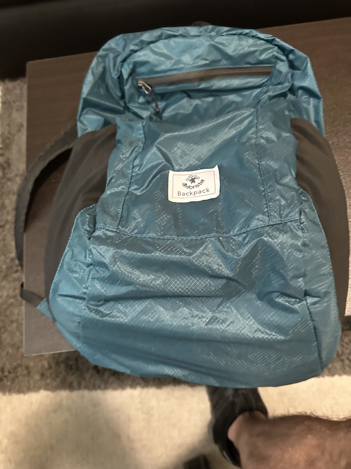 Packable Day Pack